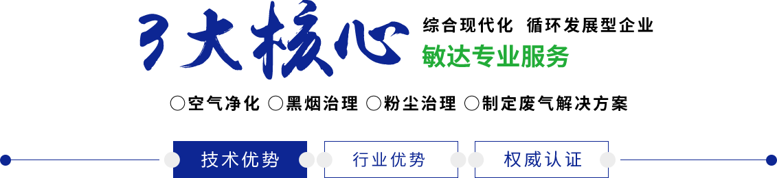 青苹果啪啪啪性爱视频敏达环保科技（嘉兴）有限公司